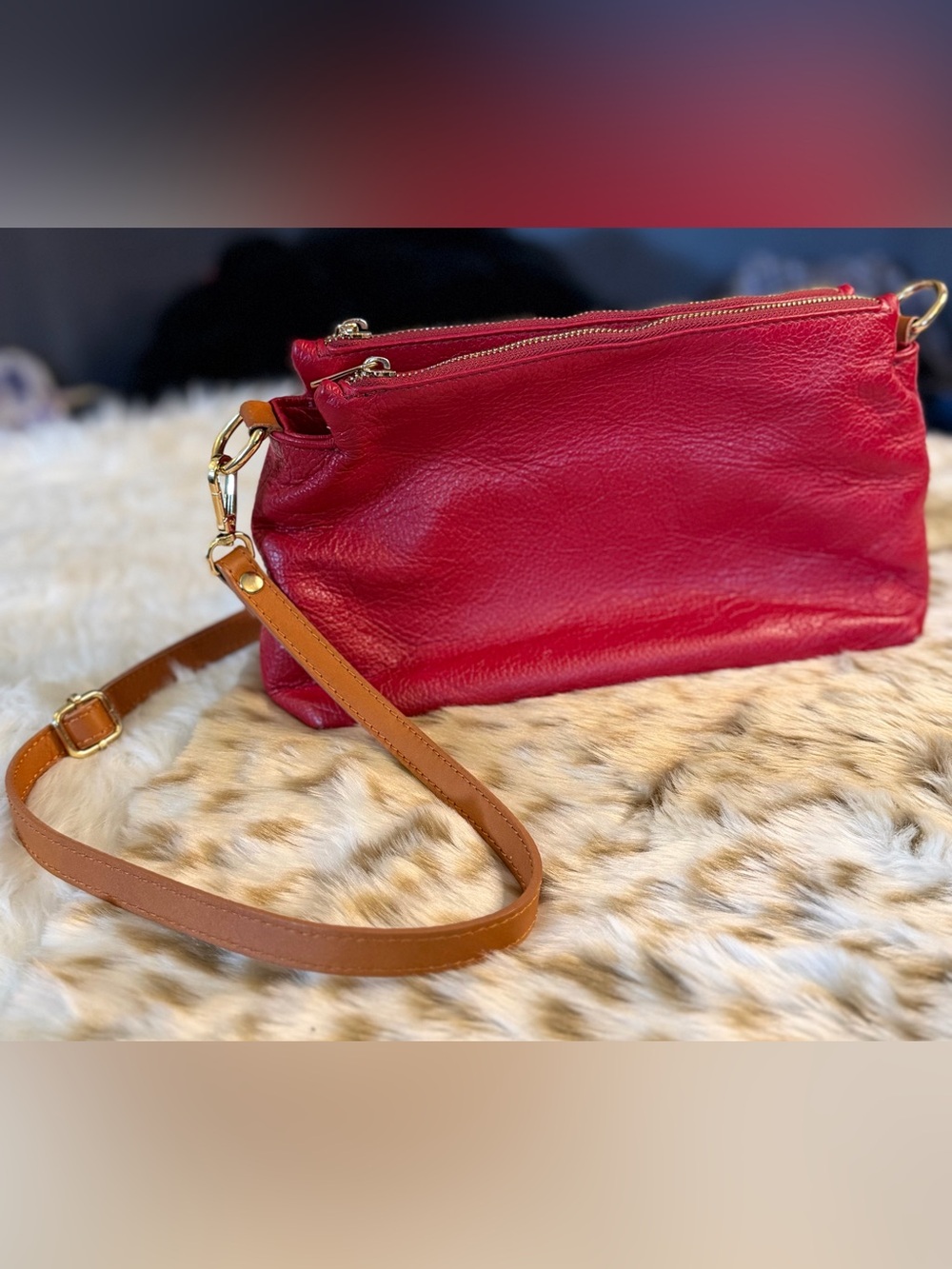 Valentina Red Leather Crossbody with Brown Strap